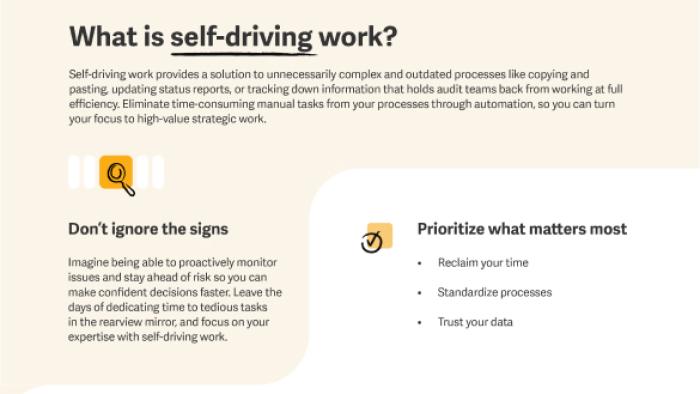 Self-Driving-Work-Audit