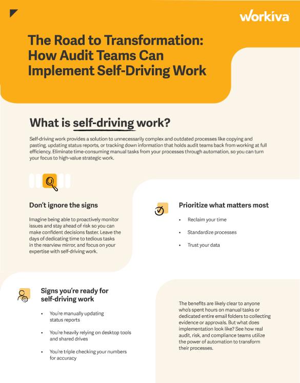 Self-Driving-Work-Audit