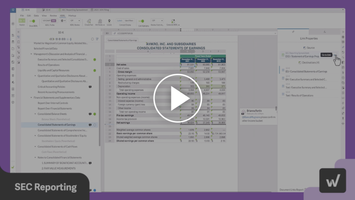 Mini Demo Workiva Software for SEC Reporting Video Screenshot