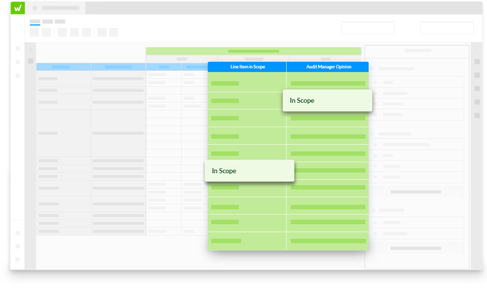 Internal Controls planning and scoping