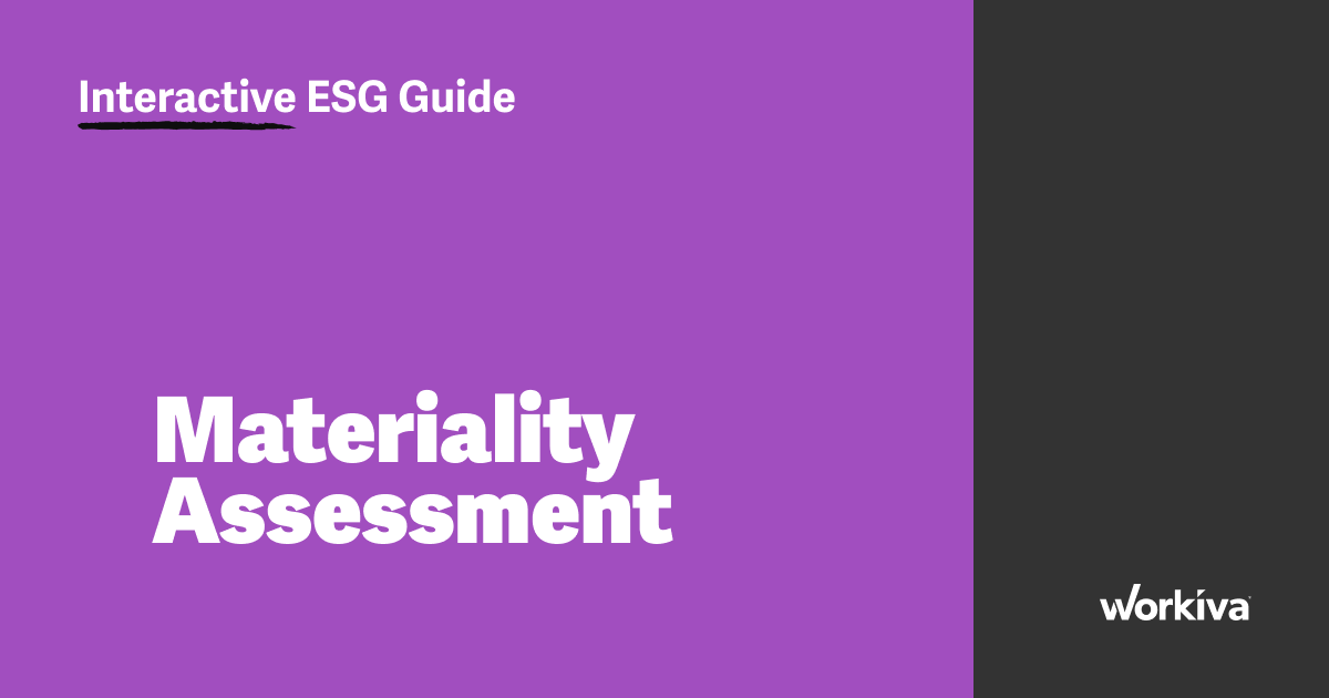 How to engage with ESG stakeholders and conduct an ESG materiality assessment